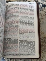 ESV Holy Bible Crossway Classic Thin line Edition Red Letter Tan Bonded Leather