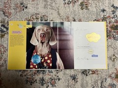 My Town by William Wegman (1998 Hardcover) 1st Edition
