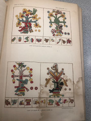 Smithsonian 3rd Annual Ethnology 1881 1882 Masks Maya Navajo Omaha Pottery Illus