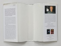 The Ascension Mysteries by David Wilcock HC-DJ 1st Ed, 1st Print 2016