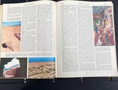 Rev. John P. O’connell CATHOLIC ENCYCLOPEDIA OF THE BIBLE AND CHURCH HC 1958
