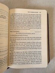 Vatican II Sunday Missal 2001 Red Soft Leather Millennium Edition