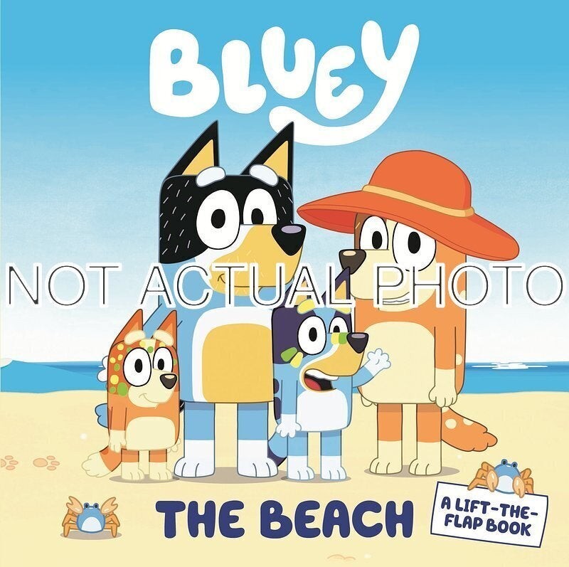 Bluey The Beach by Bluey / 2019