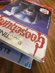 Give Yourself Apple Fiction Scholastic Goosebumps RL Stine Lot 25