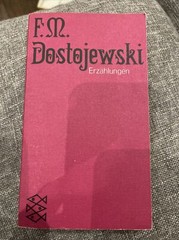 F.M. Dostojewski Erzahlungen Fischer Taschenbuch Verlag 1974 PB