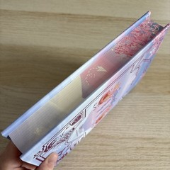 P.S. I Still Love You (To All The Boys bk 2 only) by Jenny Han Fairyloot