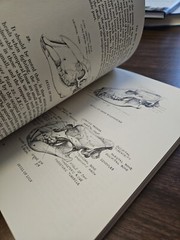 Animal Painting and Anatomy Soft Cover Book 336 pages with 200 illustrations