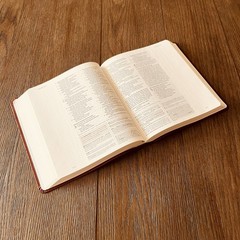 Custom Engraved ESV Journaling Study Bible, Baptism Gift for Men & Women