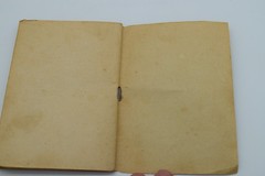 A Seraphic Flower Sister Maria Assunta Franciscan Missionary 1923 62 Pages