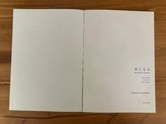 Yosuke Yamaguchi Become a Bone Art Book 96 Pages 9.8×7.2in Illustrated