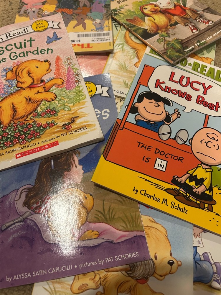 Mystery Random Lot of 10 books Level Pre K, can Read type books for Girl or Boy