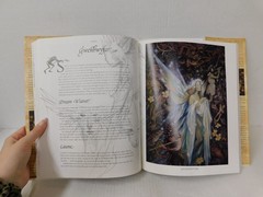 Good Faeries-Bad Faeries by Brian Froud Hardcover 1998