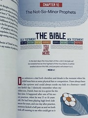 Chronological Guide to Bible Prophecy : An Illustrated Panorama from Genesis to