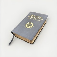 Practical Meditations for Every Day in the Year Life of Our Lord By Jesuits