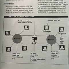 The Encyclopedia of Networking By Werner Feibel
