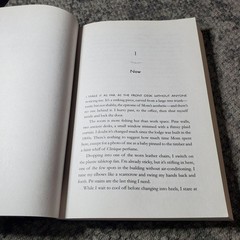 Meet Me at the Lake Carley Fortune 2023 Romance Trade Paperback Book