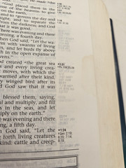 Ryrie Study Bible NAS 1995 Hardcover