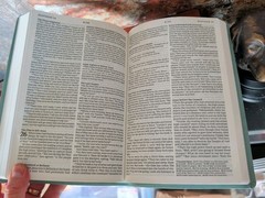NLT BIBLE LOVER LOT J4: Includes several 1996c. Life Application Study, Journal