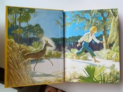 CHARLES SCRIBNERS SONS HCDJ ILLUSTRATED CLASSICS LOT 3~Yearling~Verses~Hans Brnk