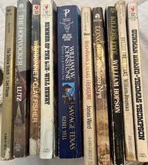 Lot Of 10 Vintage Western Paperback Books (See Photos For Titles) S17