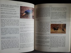 The Handbook of Aviculture Frank Woolham 1987 Bird Keeping Hardcover