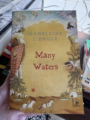 Many Waters by Madeleine L’Engle (Paperback, Square Fish, Wrinkle in Time Serie…