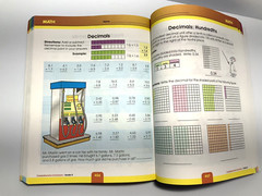 Comprehensive Curriculum of Basic Skills, Grade 4 Ages 9-10 (544 pages)