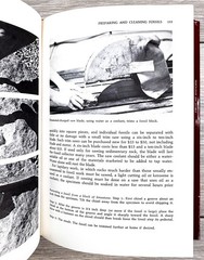 Fossils for Amateurs MacFall Wollin 1972 First Edition HC w/ DJ Van Nostrand