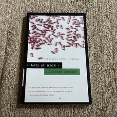 Ants at Work: How an Insect Society Is Organized, By Deborah Gordon, Pb
