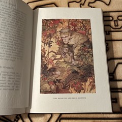 Book Edward Detmold Fables of Aesop Leather Fine Binding Vintage Ltd. Ed. Books