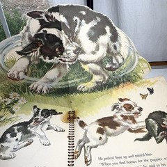 THE BIG JUMP UP FARM ANIMAL BOOK 1954 Huge Pop Ups Beautiful Illustrations