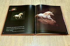 The Unicorn of Kilimanjaro by Robert Vavra 1988 HC / DJ