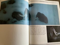 Prehistoric Monsters Dinosaur Book 1987 Jean-Philippe Varin Illustrated PB
