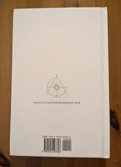 Activating Abundance : Fifty-Two Codes to Unlock Abundance : Regan Hillyer NEW!