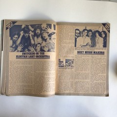 Vintage TEEN Magazine – JUNE 1976 Young & Lovin 96 Pages Fashion, Ads, Advice