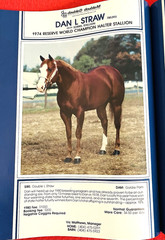 1979 Quarter Horse Journal, Book, STALLION EDITION! – KIDNAP BAR – ZAN PARR BAR