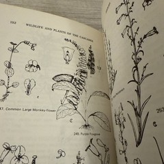 Lot 4 Books Wildflowers & Plants By Different Authors