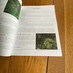 Holistic Guide to Wellness & Lost Book of Herbal Remedies Paperback