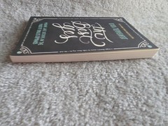 The Best Yes by Lysa TerKeurst paperback book FREE SHIPPING Wise Decisions lisa
