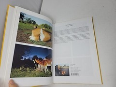 Steidl Fall Winter 2007 – 2008 Art Book