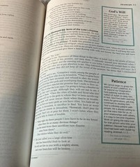 God’s Word For Students Bible Wayne Rice Series 365 Daily Devotions Teens/Youth