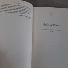 Seeking Peace Johann Christoph Arnold 1998 Spirituality Plough Publishing House