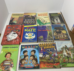 Boys Chapter Book Lot 30 Big Nate Encyclopedia Brown Aliens for Breakfast