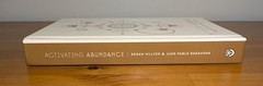 Activating Abundance : Fifty-Two Codes to Unlock Abundance : Regan Hillyer NEW!