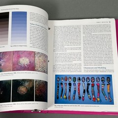 World of Art, A, Books a la Carte Edition (8th Edition) – Loose Leaf Binder GOOD