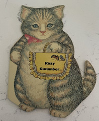 Vintage Kitty Cucumber Paperback Book by James Lillemoe, 13 Pages- in 1983, Rare