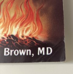 He Came to Set The Captives Free by Brown, Rebecca (1992, Trade PB) Demonology