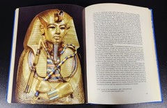Tutankhamen Book History Life Death of a Pharaoh Christiane Desroches-Noblecourt
