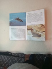 $3.45 – Discover New Zealand, booklet, Wild Animals of New Zealand