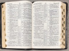 MOROCCO LEATHER Bible; RSV World 1962; Concordance; Thumb Indexed; Color Maps